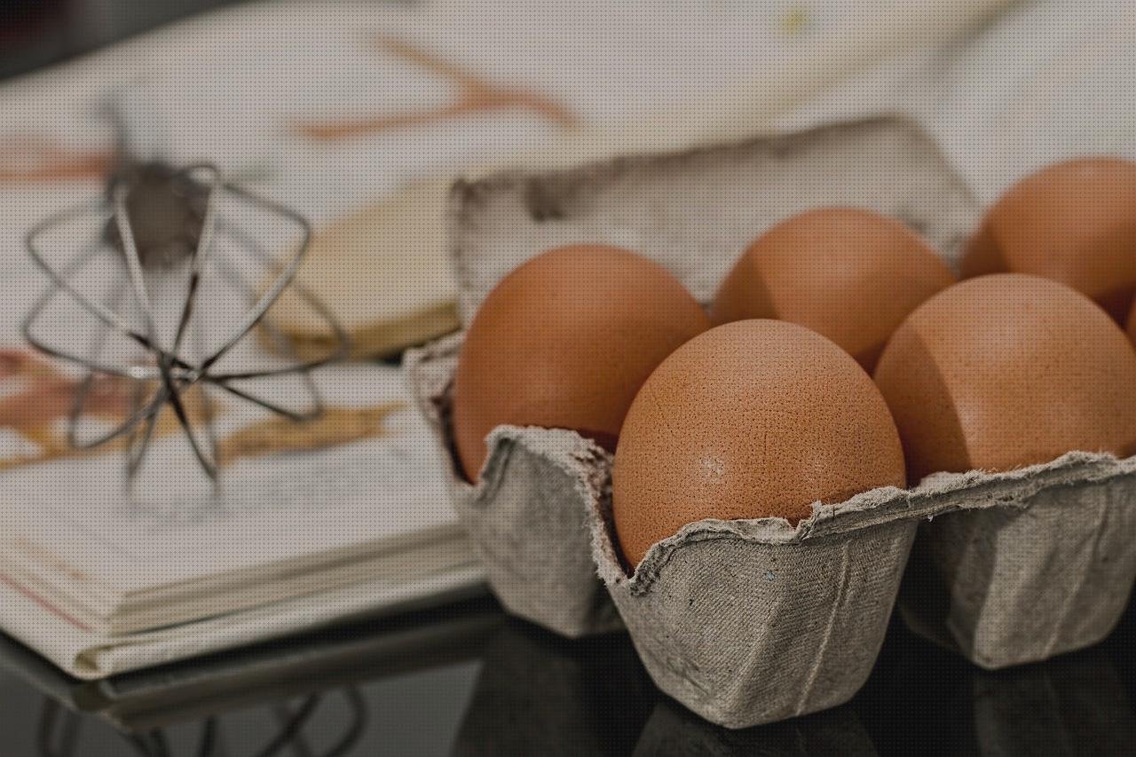 Las mejores marcas de cocinas cocina horno plancha hosteleria